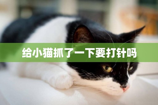 給小貓抓了一下要打針嗎