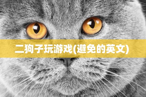 二狗子玩游戲(避免的英文) 