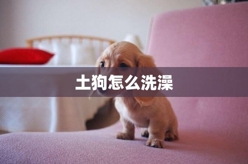 土狗怎么洗澡
