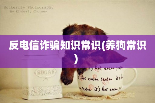 反電信詐騙知識常識(養狗常識) 