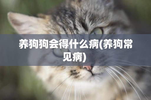 養狗狗會得什么病(養狗常見病) 