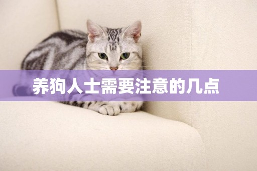 養狗人士需要注意的幾點 