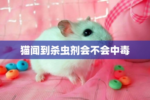 貓聞到殺蟲劑會不會中毒
