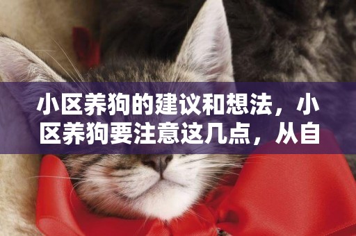 小區養狗的建議和想法，小區養狗要注意這幾點，從自我做起 