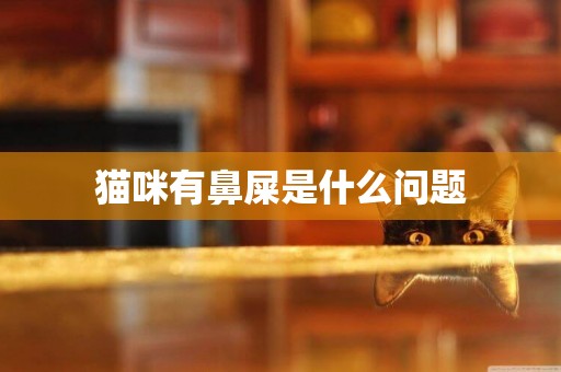 貓咪有鼻屎是什么問題