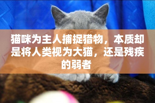 貓咪為主人捕捉獵物，本質卻是將人類視為大貓，還是殘疾的弱者 