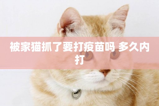 被家貓抓了要打疫苗嗎 多久內打