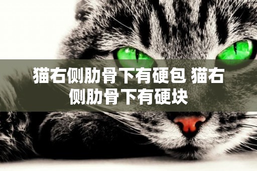 貓右側肋骨下有硬包 貓右側肋骨下有硬塊