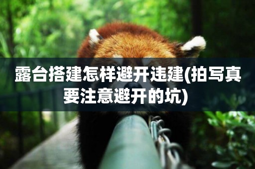露臺搭建怎樣避開違建(拍寫真要注意避開的坑) 