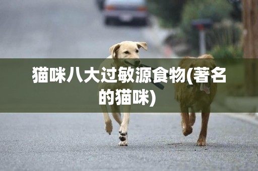 貓咪八大過敏源食物(著名的貓咪) 