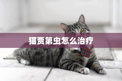 貓賈第蟲怎么治療