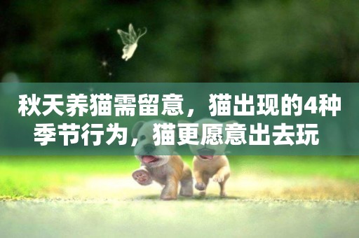 秋天養貓需留意，貓出現的4種季節行為，貓更愿意出去玩 