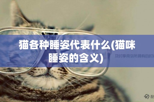 貓各種睡姿代表什么(貓咪睡姿的含義) 