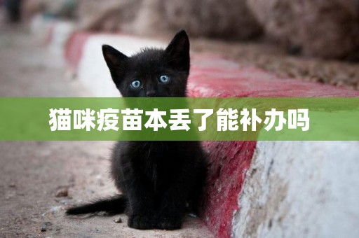 貓咪疫苗本丟了能補辦嗎