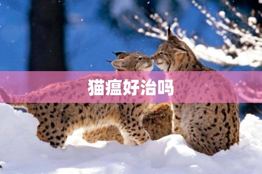 貓瘟好治嗎