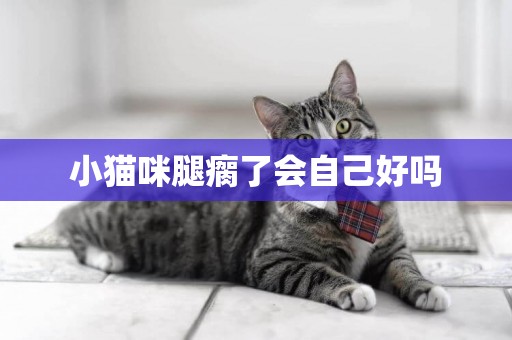 小貓咪腿瘸了會自己好嗎