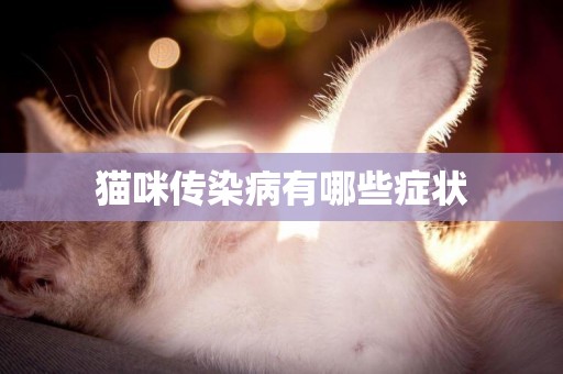 貓咪傳染病有哪些癥狀