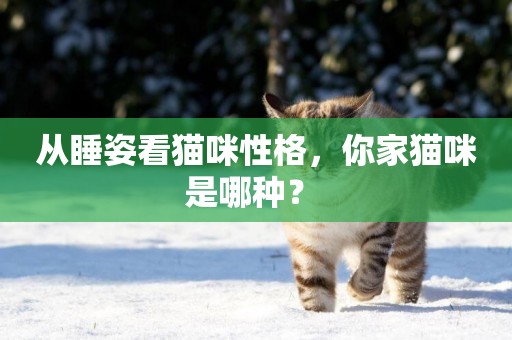 從睡姿看貓咪性格，你家貓咪是哪種？ 