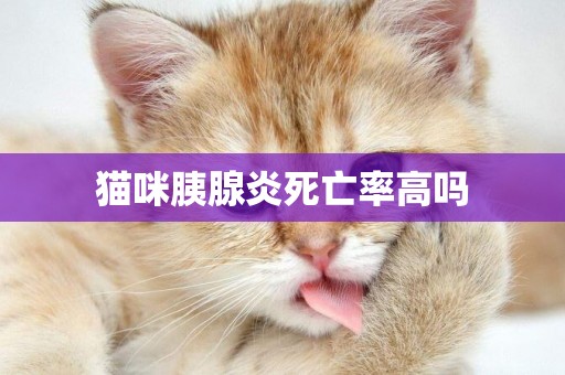 貓咪胰腺炎死亡率高嗎