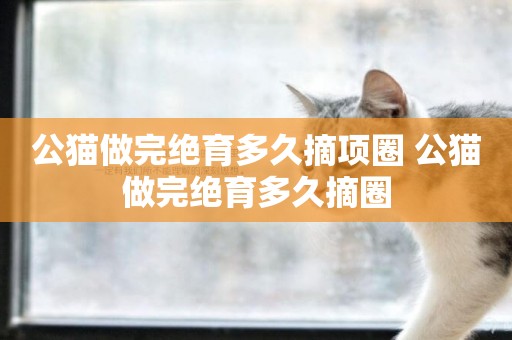 公貓做完絕育多久摘項圈 公貓做完絕育多久摘圈