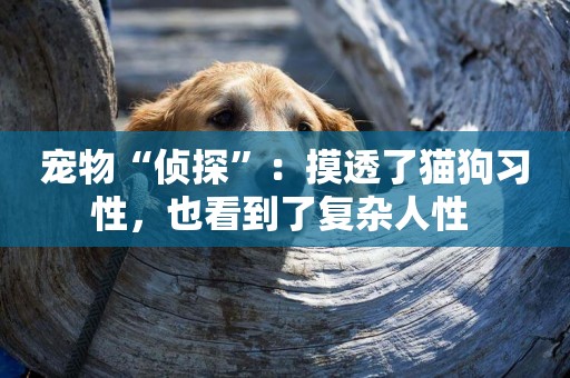 寵物“偵探”：摸透了貓狗習性，也看到了復雜人性 