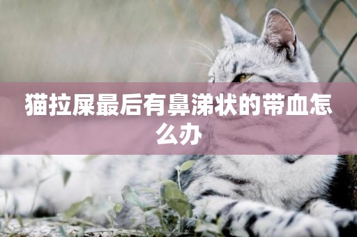貓拉屎最后有鼻涕狀的帶血怎么辦