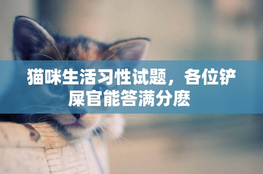 貓咪生活習性試題，各位鏟屎官能答滿分麼 