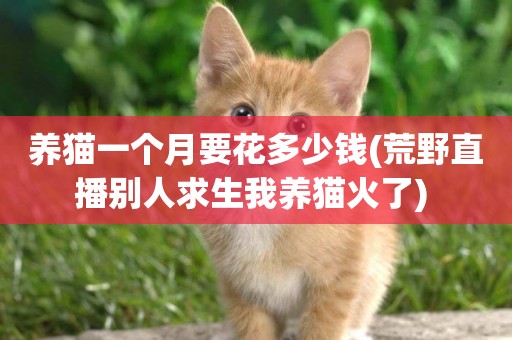 養貓一個月要花多少錢(荒野直播別人求生我養貓火了) 