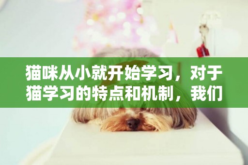 貓咪從小就開始學習，對于貓學習的特點和機制，我們需要了解這些 