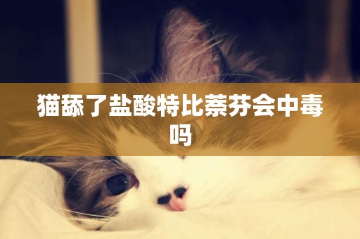 貓舔了鹽酸特比萘芬會中毒嗎