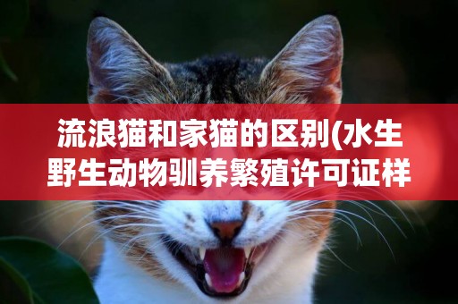 流浪貓和家貓的區別(水生野生動物馴養繁殖許可證樣本) 
