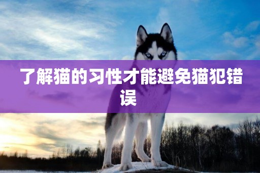 了解貓的習性才能避免貓犯錯誤 