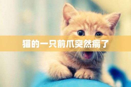 貓的一只前爪突然瘸了