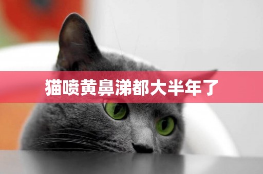 貓噴黃鼻涕都大半年了