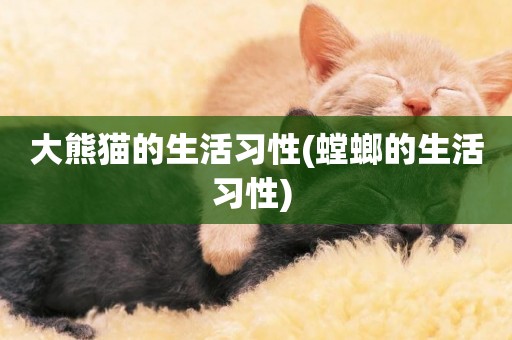 大熊貓的生活習性(螳螂的生活習性) 