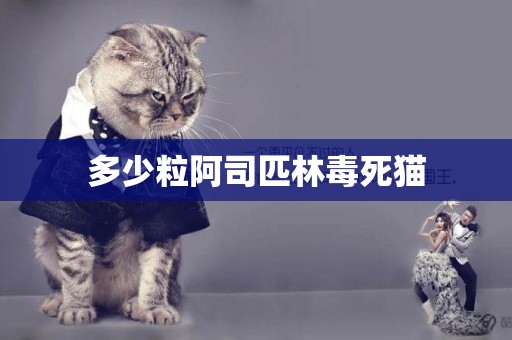 多少粒阿司匹林毒死貓