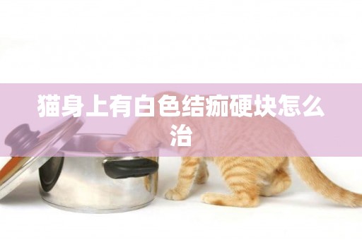 貓身上有白色結痂硬塊怎么治