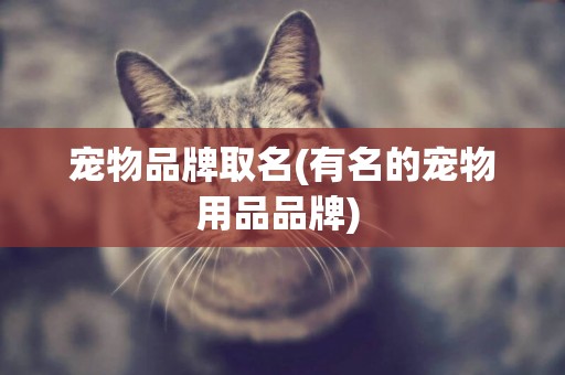 寵物品牌取名(有名的寵物用品品牌) 