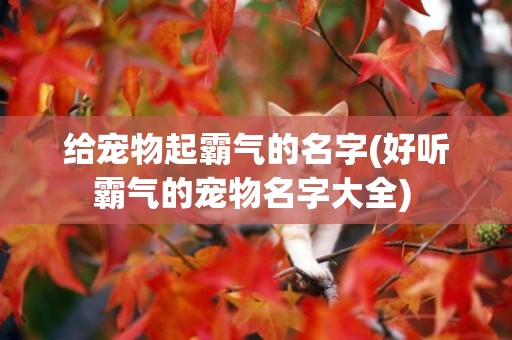 給寵物起霸氣的名字(好聽霸氣的寵物名字大全) 