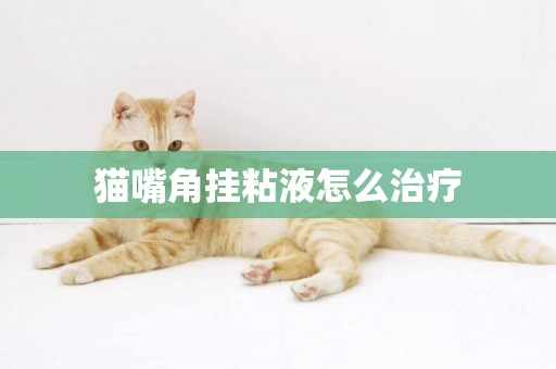 貓嘴角掛粘液怎么治療