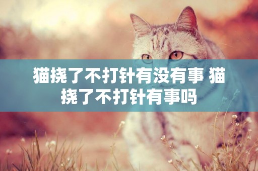 貓撓了不打針有沒有事 貓撓了不打針有事嗎