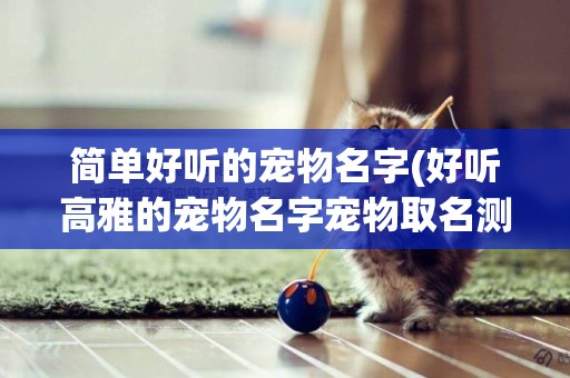 簡單好聽的寵物名字(好聽高雅的寵物名字寵物取名測試) 