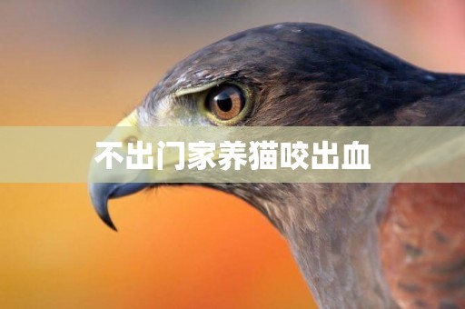 不出門家養貓咬出血