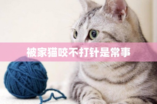 被家貓咬不打針是常事