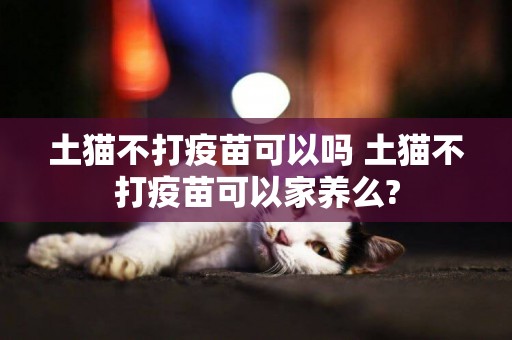 土貓不打疫苗可以嗎 土貓不打疫苗可以家養么?