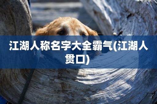 江湖人稱名字大全霸氣(江湖人貫口) 