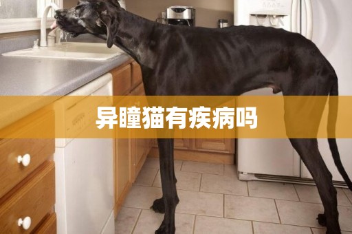 異瞳貓有疾病嗎