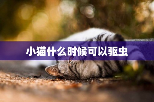 小貓什么時候可以驅蟲