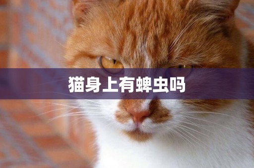 貓身上有蜱蟲嗎