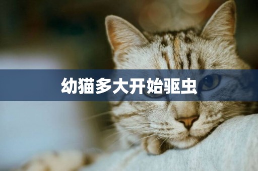 幼貓多大開始驅蟲